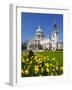 St. Paul's Cathedral with Daffodils, London, England, United Kingdom, Europe-Stuart Black-Framed Photographic Print