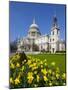 St. Paul's Cathedral with Daffodils, London, England, United Kingdom, Europe-Stuart Black-Mounted Photographic Print