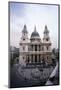 St. Paul's Cathedral-null-Mounted Photographic Print