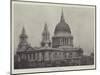 St Paul's Cathedral-null-Mounted Giclee Print