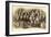 St. Paul's College Band-null-Framed Art Print