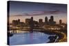 St Paul Skyline from Indian Mounds, Minneapolis, Minnesota, USA-Walter Bibikow-Stretched Canvas