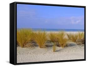 St. Pete's Beach, Florida, USA-Fraser Hall-Framed Stretched Canvas