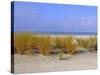 St. Pete's Beach, Florida, USA-Fraser Hall-Stretched Canvas