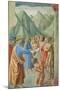 St. Peter Baptising the Neophytes, circa 1427-Tommaso Masaccio-Mounted Giclee Print