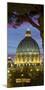 St. Peter's Basilica, Rome, Lazio, Italy-Rainer Mirau-Mounted Photographic Print