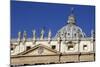 St. Peter's Basilica, Vatican City, Rome, Lazio, Italy-Stuart Black-Mounted Photographic Print