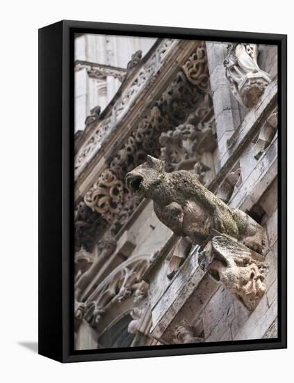 St Peter's Cathedral in Regensburg, Germany-Michael DeFreitas-Framed Stretched Canvas