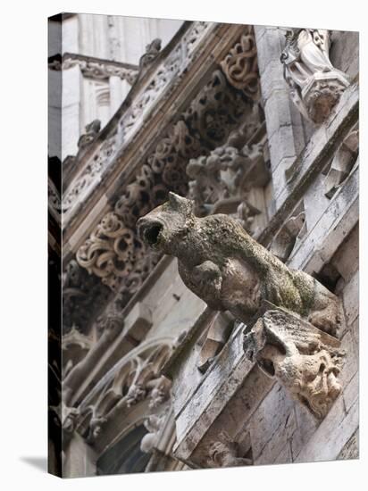 St Peter's Cathedral in Regensburg, Germany-Michael DeFreitas-Stretched Canvas