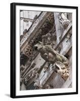 St Peter's Cathedral in Regensburg, Germany-Michael DeFreitas-Framed Premium Photographic Print
