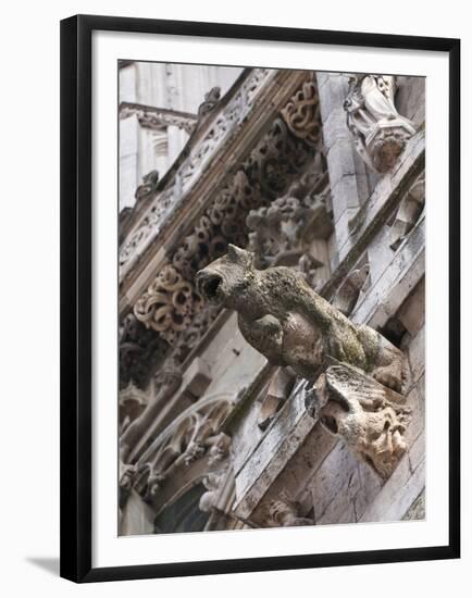 St Peter's Cathedral in Regensburg, Germany-Michael DeFreitas-Framed Premium Photographic Print