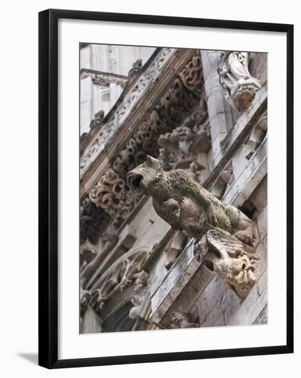 St Peter's Cathedral in Regensburg, Germany-Michael DeFreitas-Framed Premium Photographic Print