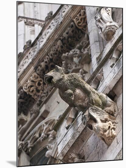 St Peter's Cathedral in Regensburg, Germany-Michael DeFreitas-Mounted Premium Photographic Print