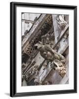 St Peter's Cathedral in Regensburg, Germany-Michael DeFreitas-Framed Photographic Print