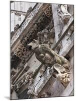 St Peter's Cathedral in Regensburg, Germany-Michael DeFreitas-Mounted Photographic Print