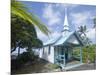 St. Peter's Catholic Church, Near Kailua-Kona, Island of Hawaii (Big Island), Hawaii, USA-Ethel Davies-Mounted Photographic Print