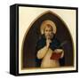 'St. Peter the Martyr', 15th century, (c1909)-Fra Angelico-Framed Stretched Canvas