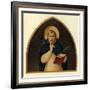 'St. Peter the Martyr', 15th century, (c1909)-Fra Angelico-Framed Giclee Print