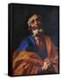 St Peter-Francesco Solimena-Framed Stretched Canvas