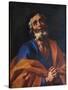 St Peter-Francesco Solimena-Stretched Canvas