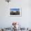 St. Peters and Piazza San Pietro in the Early Morning, Vatican City, Rome, Lazio, Italy-James Emmerson-Framed Photographic Print displayed on a wall