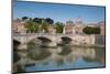 St. Peters and River Tiber, Rome, Lazio, Italy, Europe-Frank Fell-Mounted Photographic Print