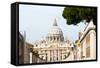 St. Peters' Dome, Vatican City, UNESCO World Heritage Site, Rome, Lazio, Italy, Europe-Nico Tondini-Framed Stretched Canvas