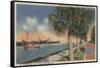 St. Petersburg, FL - View of Coffee Pot Bayou & Isle-Lantern Press-Framed Stretched Canvas