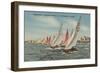 St. Petersburg, FL - View of Lightning Regatta Race-Lantern Press-Framed Art Print