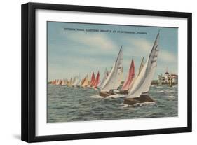 St. Petersburg, FL - View of Lightning Regatta Race-Lantern Press-Framed Art Print