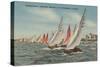 St. Petersburg, FL - View of Lightning Regatta Race-Lantern Press-Stretched Canvas