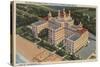 St. Petersburg, Florida - Aerial of Don Ce-Sar Hotel-Lantern Press-Stretched Canvas