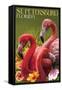 St. Petersburg, Florida - Flamingos-Lantern Press-Framed Stretched Canvas