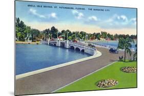 St. Petersburg, Florida - Snell Isle Bridge View-Lantern Press-Mounted Art Print