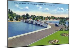 St. Petersburg, Florida - Snell Isle Bridge View-Lantern Press-Mounted Art Print