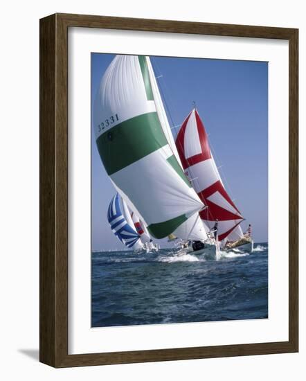 St. Petersburg, Florida, USA-null-Framed Photographic Print