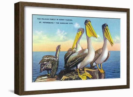 St. Petersburg, Florida, View of a Pelican Family in Sunny Florida-Lantern Press-Framed Art Print