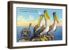 St. Petersburg, Florida, View of a Pelican Family in Sunny Florida-Lantern Press-Framed Art Print