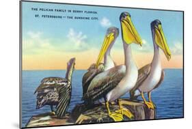 St. Petersburg, Florida, View of a Pelican Family in Sunny Florida-Lantern Press-Mounted Art Print