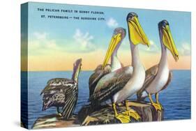 St. Petersburg, Florida, View of a Pelican Family in Sunny Florida-Lantern Press-Stretched Canvas