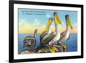 St. Petersburg, Florida, View of a Pelican Family in Sunny Florida-Lantern Press-Framed Premium Giclee Print