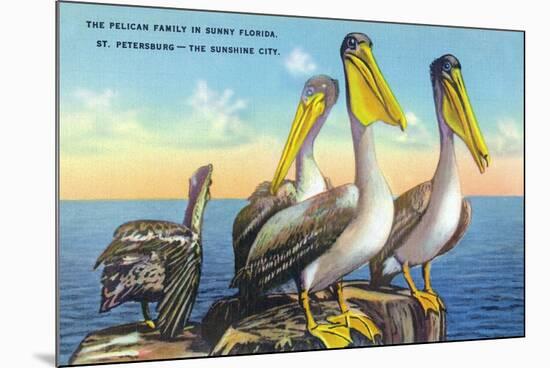 St. Petersburg, Florida, View of a Pelican Family in Sunny Florida-Lantern Press-Mounted Premium Giclee Print