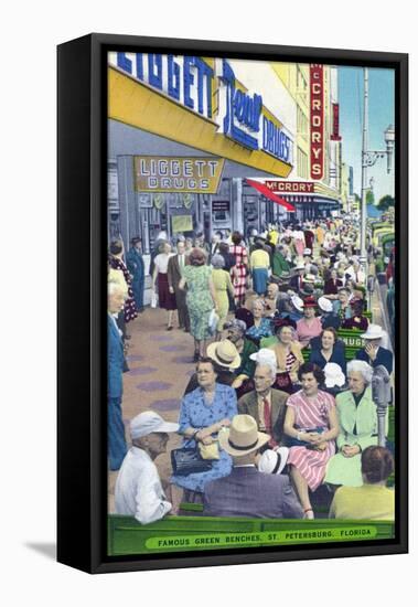 St. Petersburg, Florida - View of Crowds and Famous Green Benches-Lantern Press-Framed Stretched Canvas