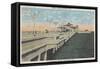 St. Petersburg, Florida - View of Million Dollar Pier-Lantern Press-Framed Stretched Canvas