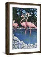 St. Petersburg, Florida, View of Pink Flamingos at Florida Wild Animal Ranch-Lantern Press-Framed Art Print