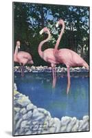 St. Petersburg, Florida, View of Pink Flamingos at Florida Wild Animal Ranch-Lantern Press-Mounted Art Print