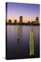 St. Petersburg Skyline, Tampa, Florida, United States of America, North America-Richard Cummins-Stretched Canvas