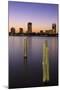 St. Petersburg Skyline, Tampa, Florida, United States of America, North America-Richard Cummins-Mounted Photographic Print