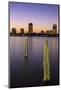 St. Petersburg Skyline, Tampa, Florida, United States of America, North America-Richard Cummins-Mounted Photographic Print