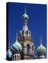 St Petersburg, the Church on Spilt Blood, Russia-Nick Laing-Stretched Canvas